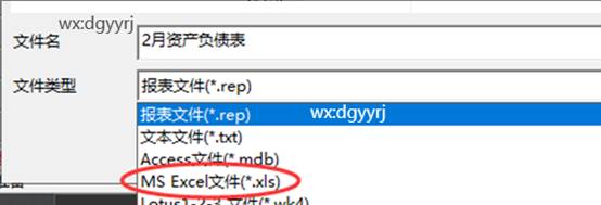 東莞用友