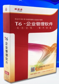 ����T6